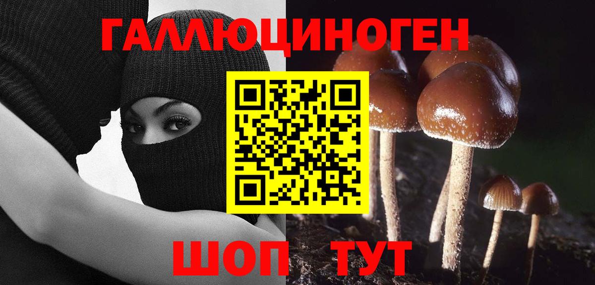 Алатырь  Галлюциногенные грибы GOLDEN TEACHER  Вход с VPN 